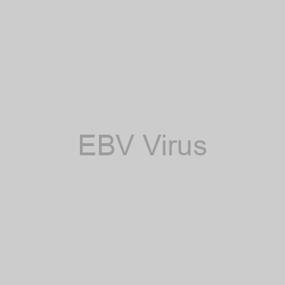 EBV Virus
